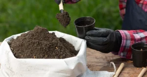 Uma imagem de uma pessoa colocando adubo em um vaso de plantas